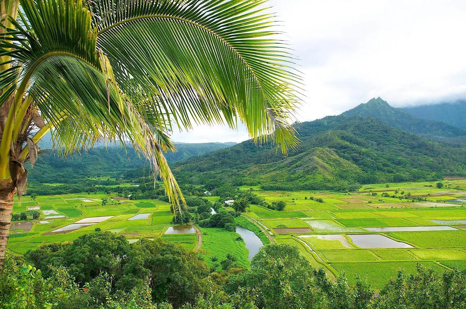 Waipouli Beach Resort H104 Kapa'a 0*,